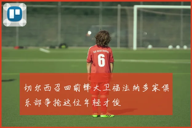 切尔西召回前锋大卫福法纳多家俱乐部争抢这位年轻才俊